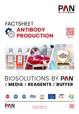 Antikörperproduktion