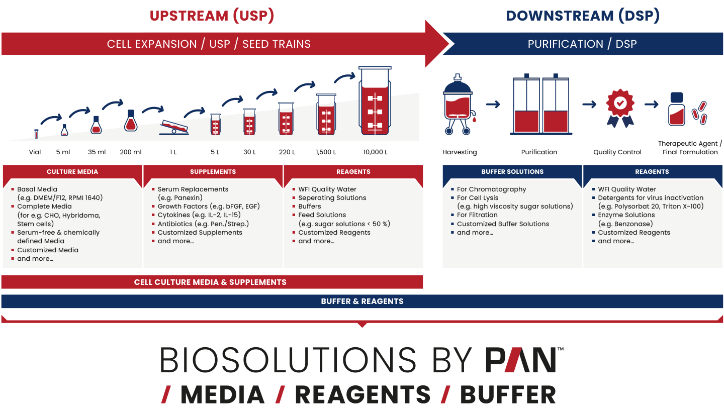 “Upstream and downstream processing (USP/DSP) diagram — from cell culture to fill-finish, with PAN-Biotech media, buffers and WFI at each step.”
